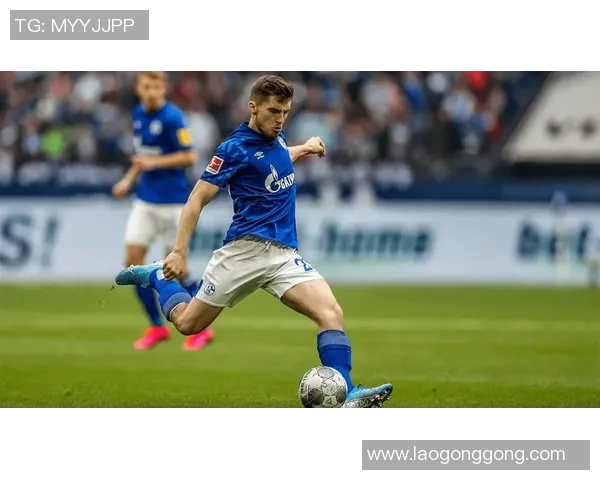 沙尔克04遭遇连败霍芬海姆客场不敌，危机加重